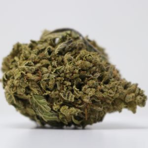 Gelato 45