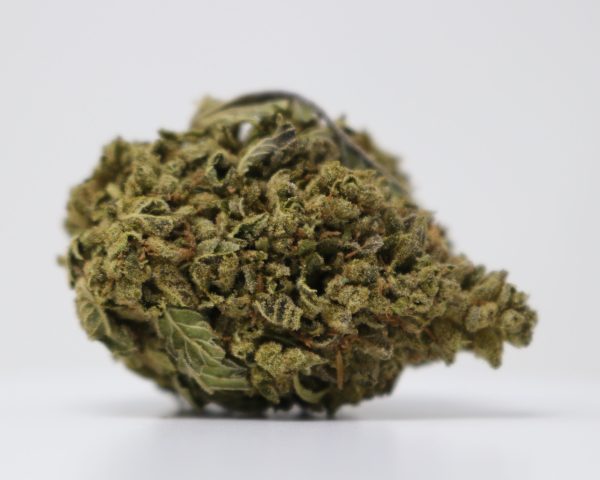 Gelato 45