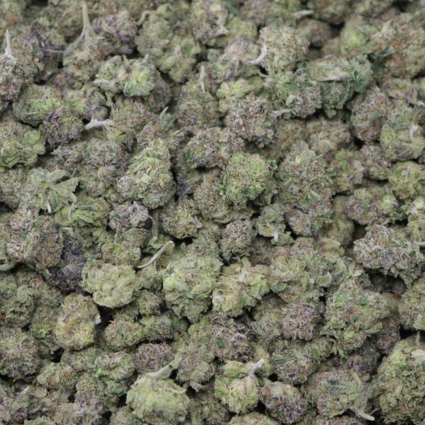 Gelato 47 - Image 2