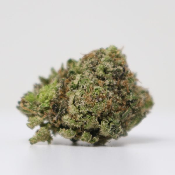Gelato 47
