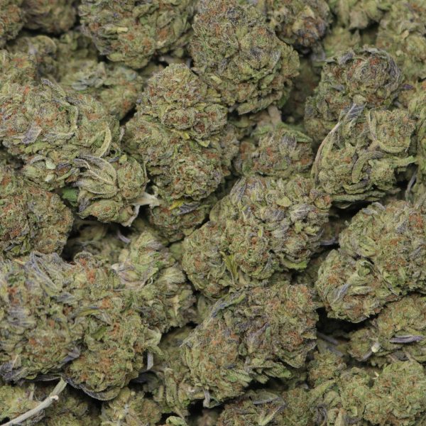 Gelato Crasher - Image 2