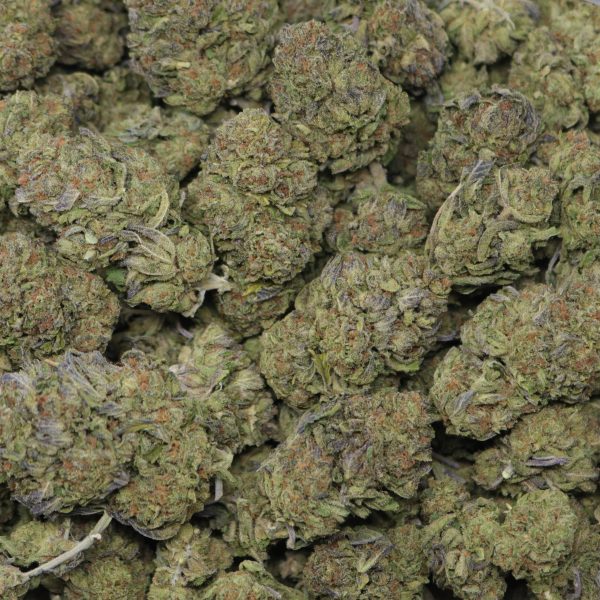 Gelato Crasher - Image 2