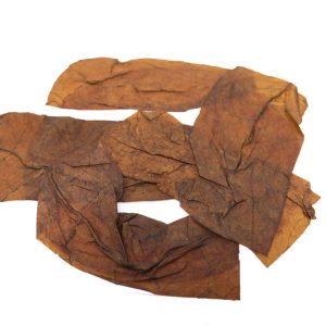 Hidden Hills Leaf Wrapper - Moscow Cream
