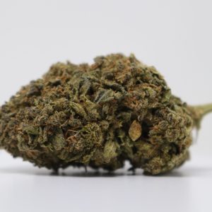 Killa Genetics