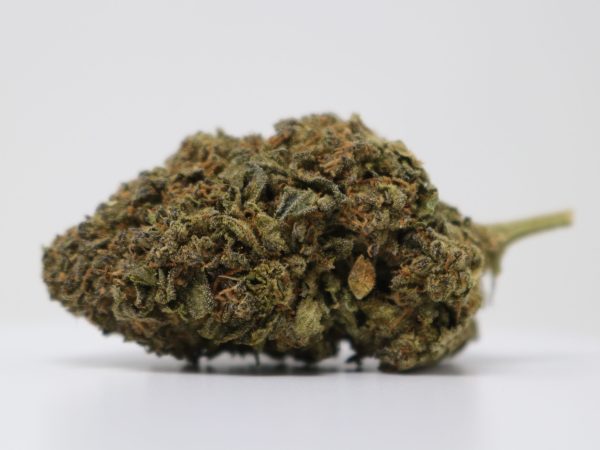 Killa Genetics