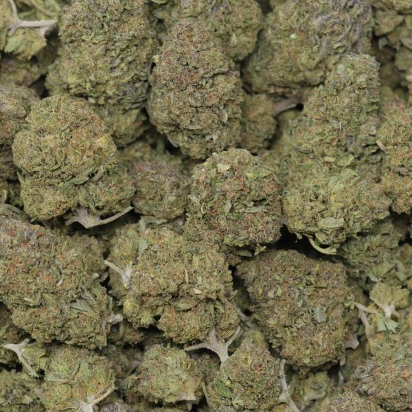 Solar Gelato - Image 2