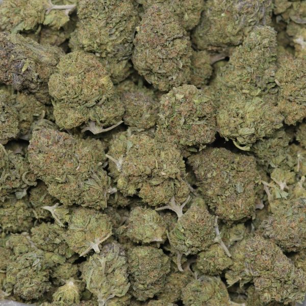 Solar Gelato - Image 2