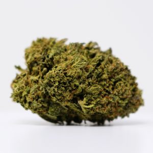 Solar Gelato
