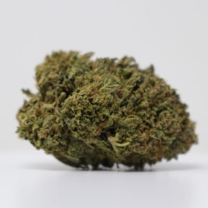 Solar Gelato