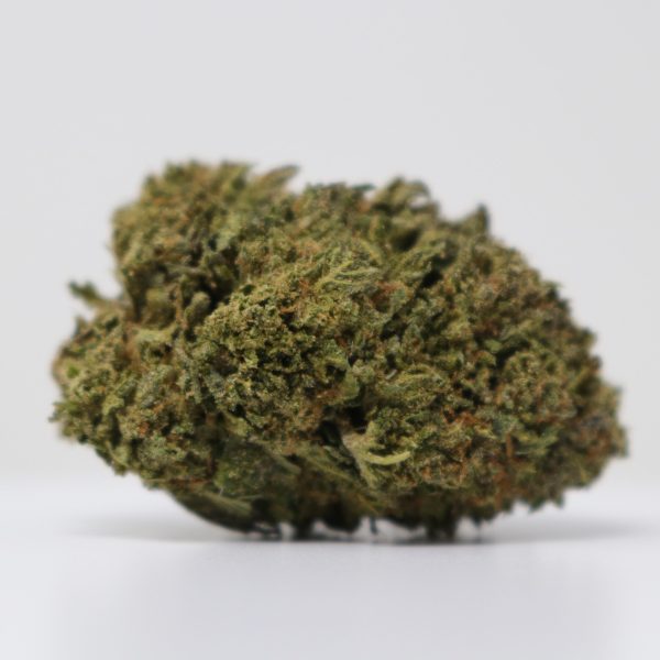 Solar Gelato