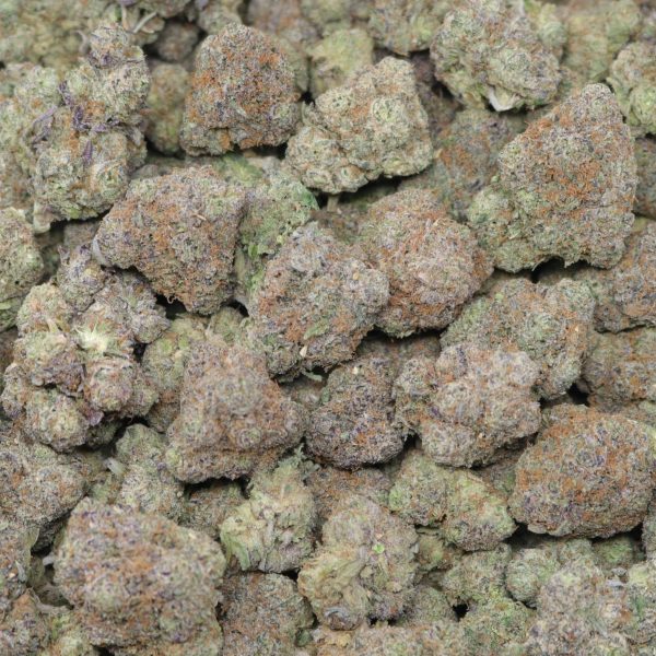 Super Lemon Cherry Gelato - Image 2
