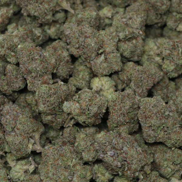 Black Runtz - Image 2