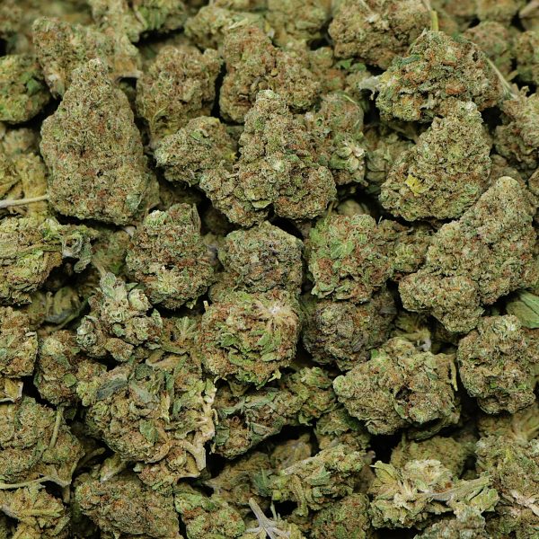 Blue Berry Punch - Image 2