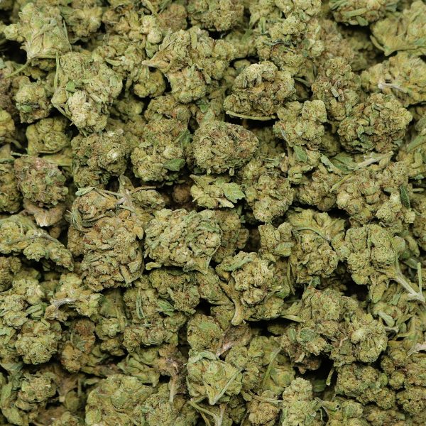 Candy Runtz - Image 2