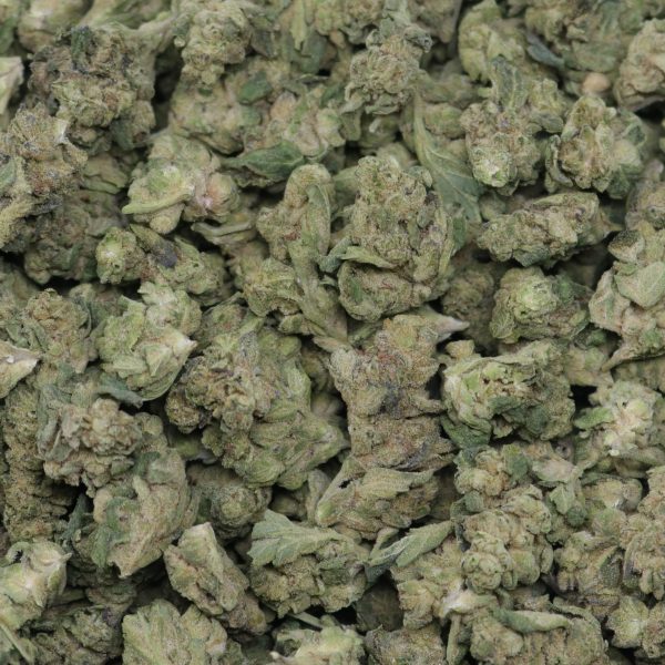 Gelato Cake Smalls - Image 2