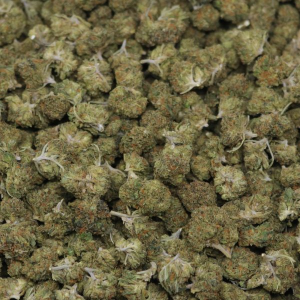 Gelato Smalls - Image 2