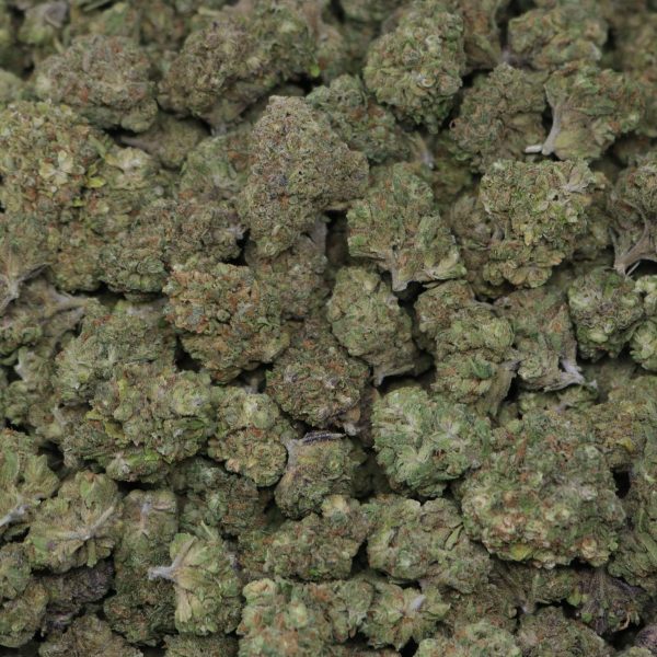 Passion Fruit Fuel - Image 2