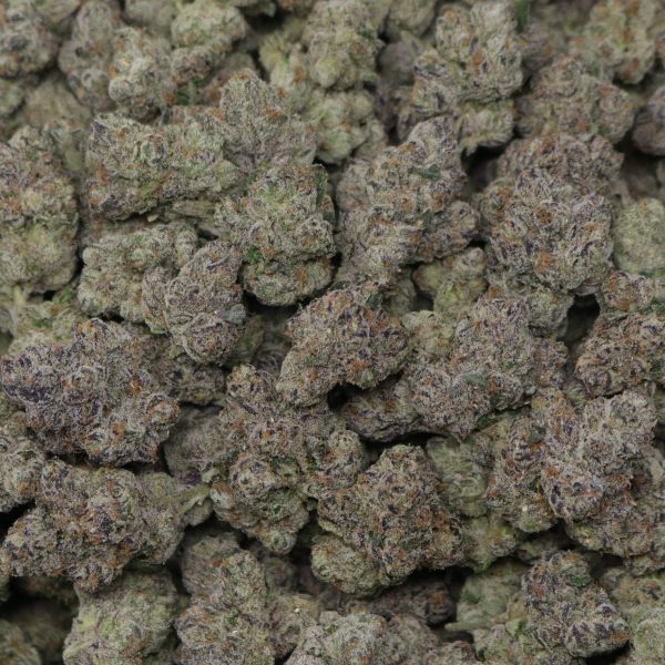 Bubblegum Gushers - Image 2