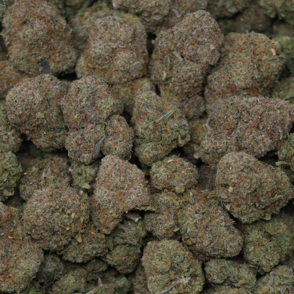 Gelato Gusher - Image 2