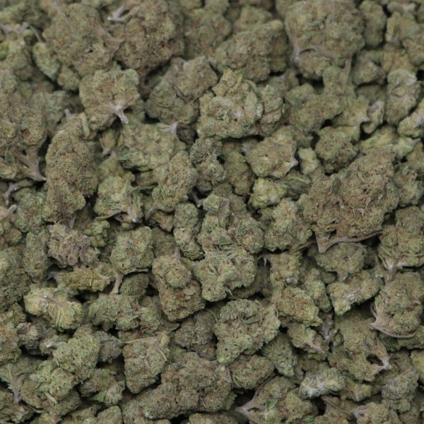 GovernMint Oasis Smalls - Image 2
