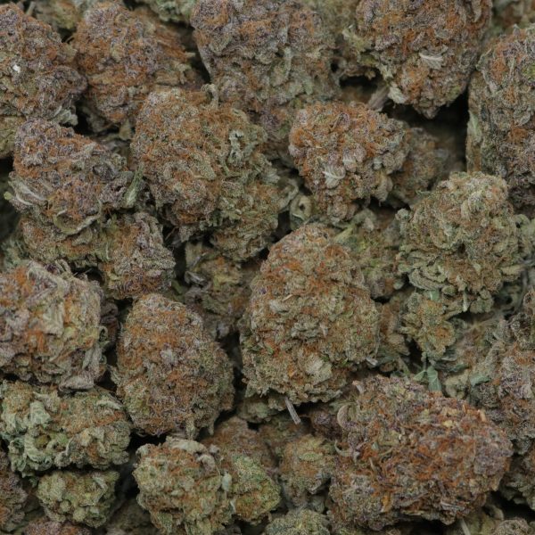 Grand Daddy Purple - Image 2