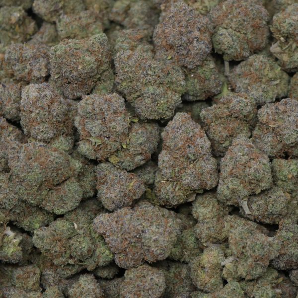 Gumbolatto - Image 2