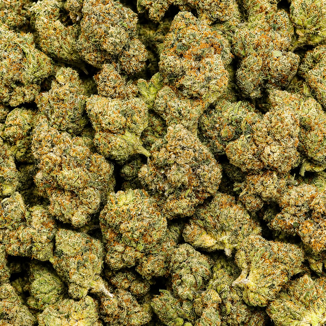 True OG - Image 2