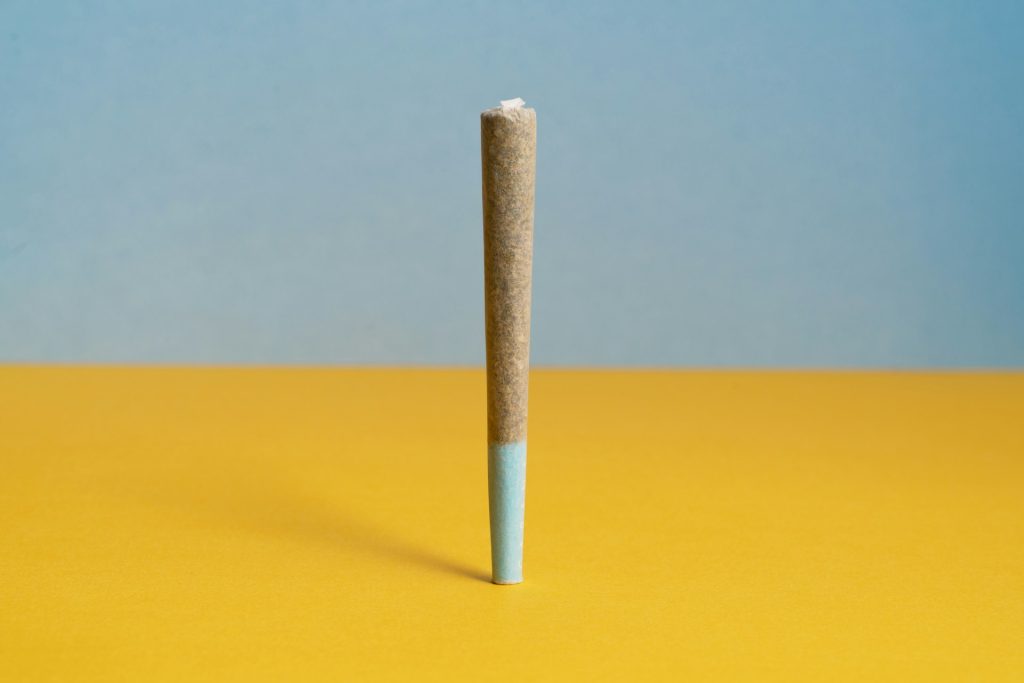 what is a joint