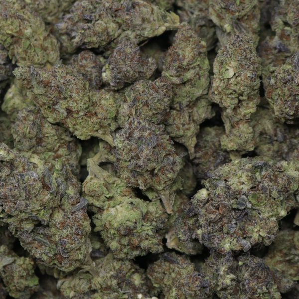 Zkittle Mintz - Image 2