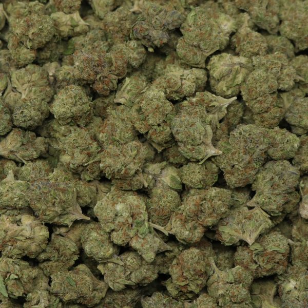 Gelato 33 - Image 2