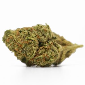 Gelato 33