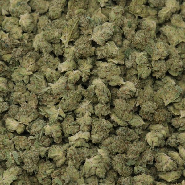 Gorilla Glue 4 Smalls - Image 2