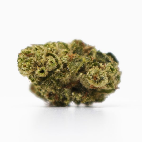 Gorilla Glue 4 Smalls