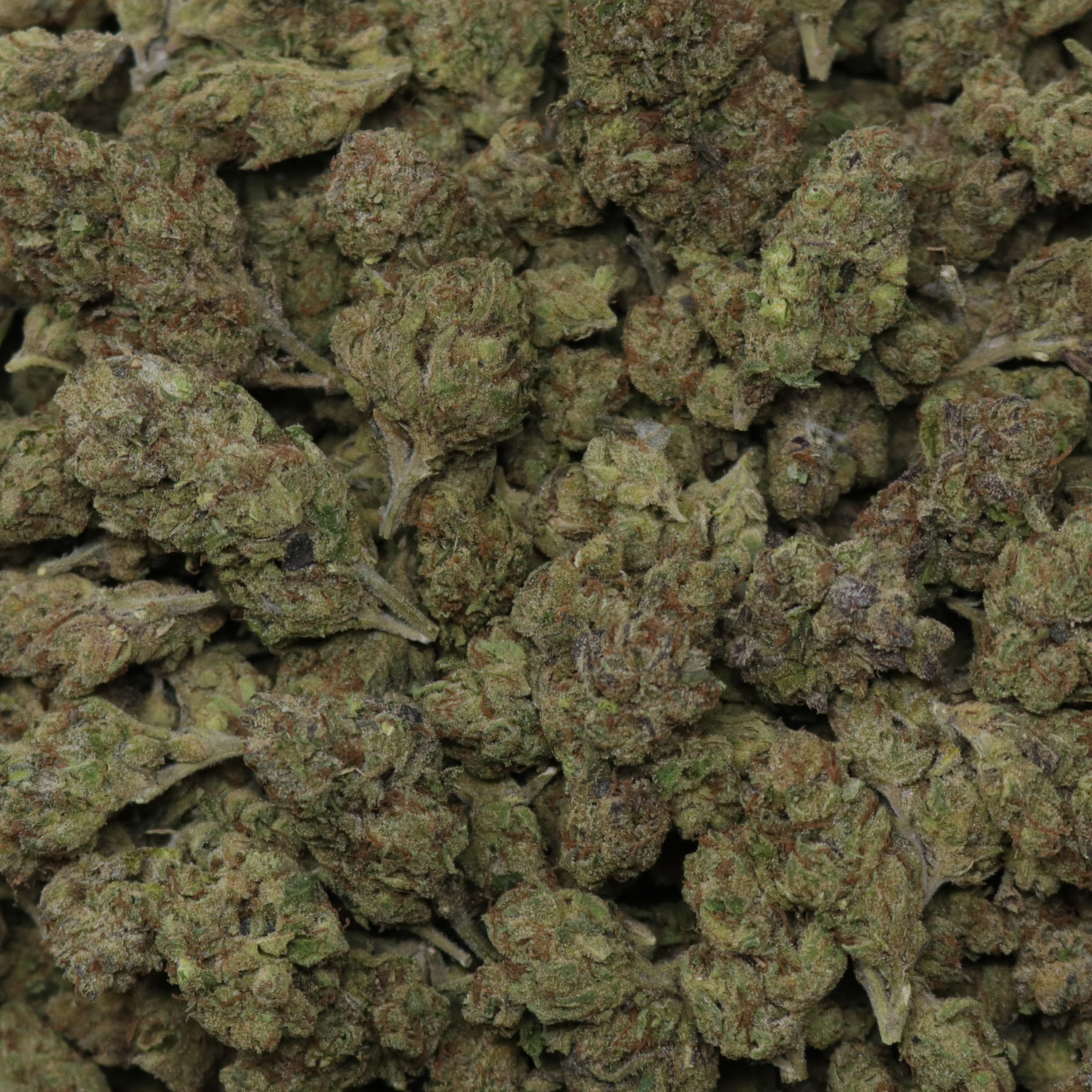 Runtz Mode - Image 2