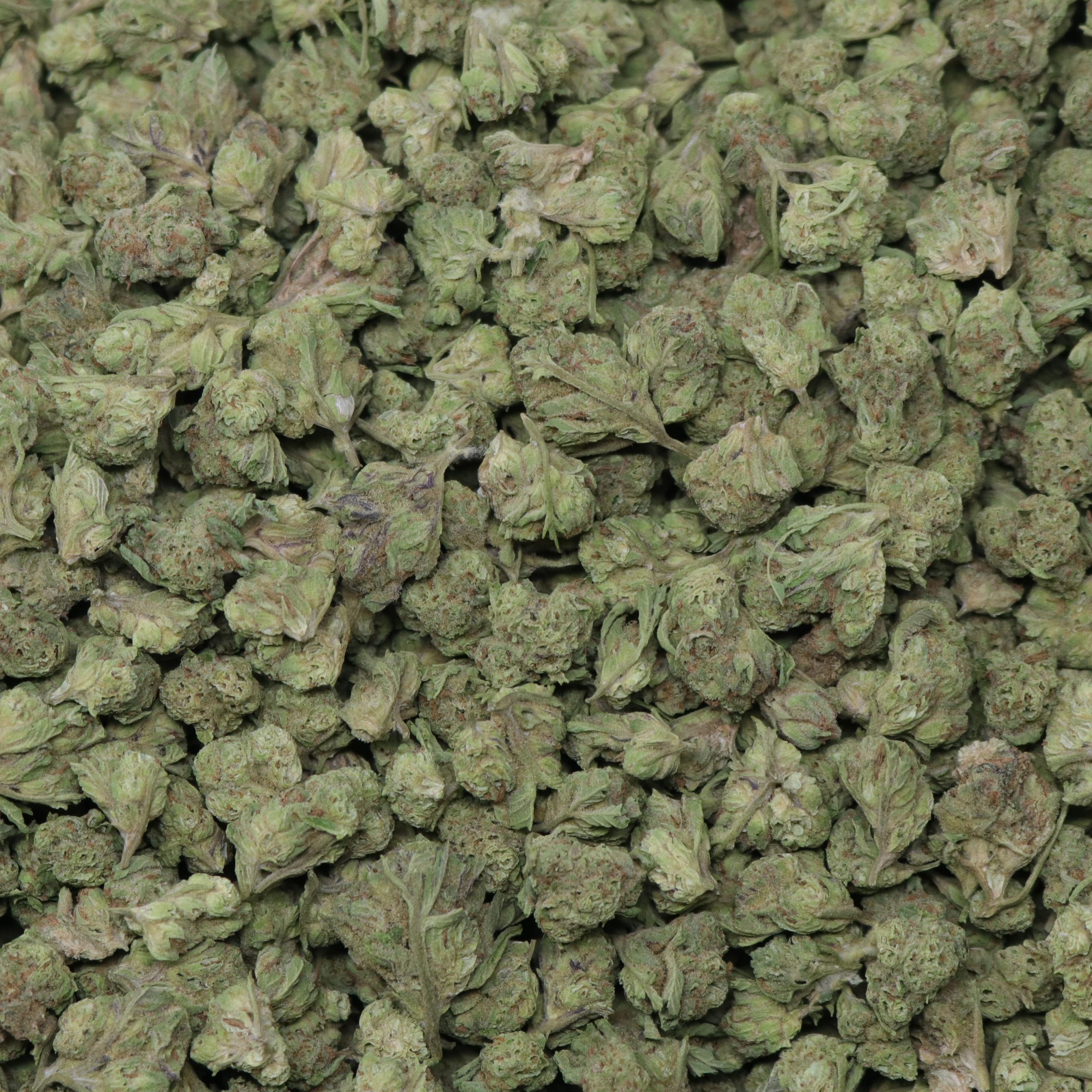 Abuela Smalls - Image 2