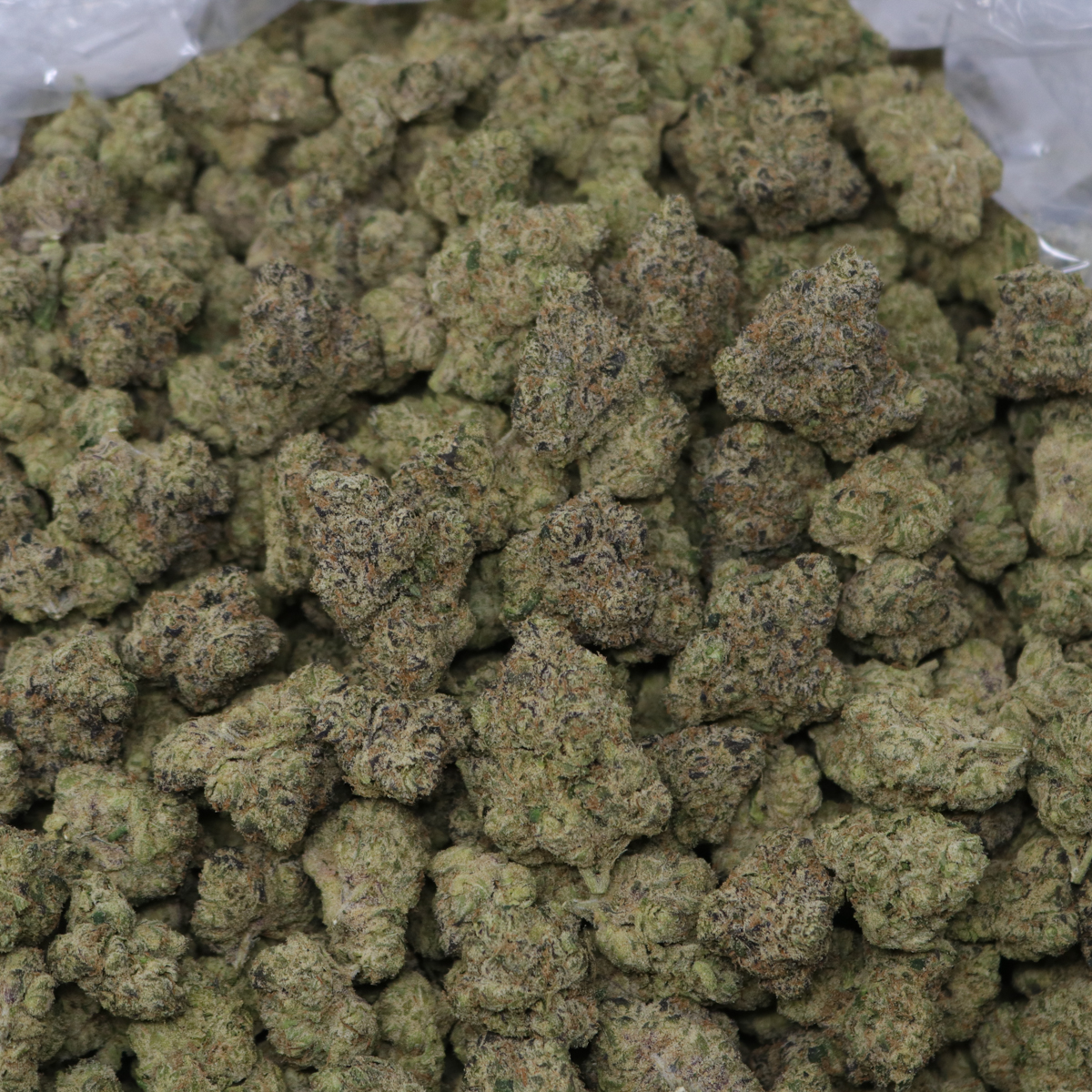 Blueberry Jam - Image 2