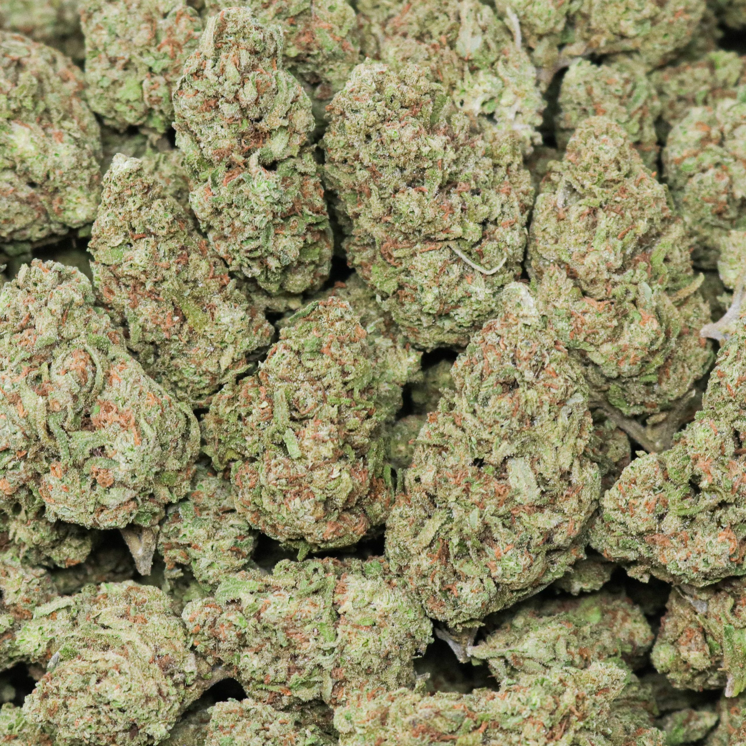 how to store cannabis flower