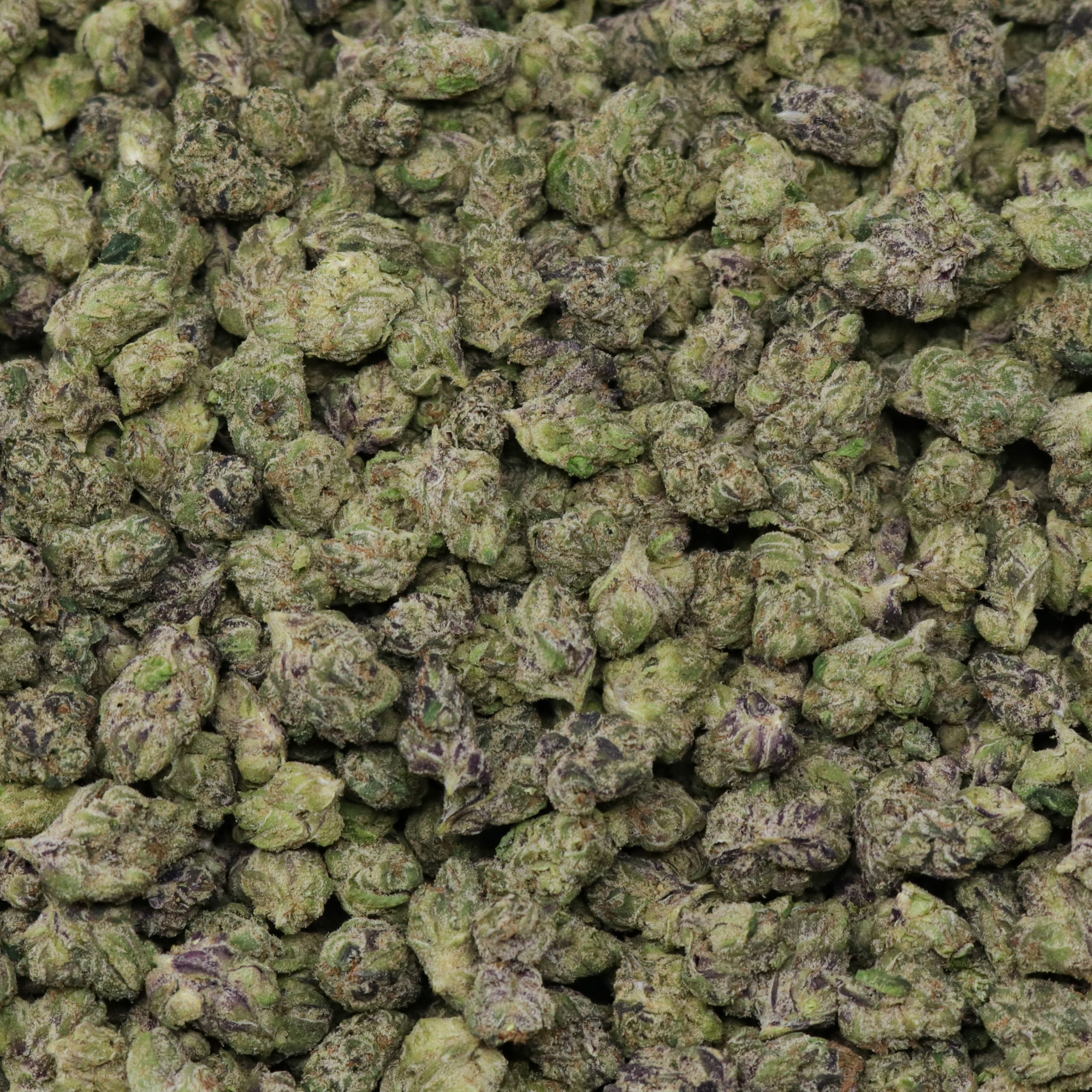 Blue Gummy Smalls - Image 2