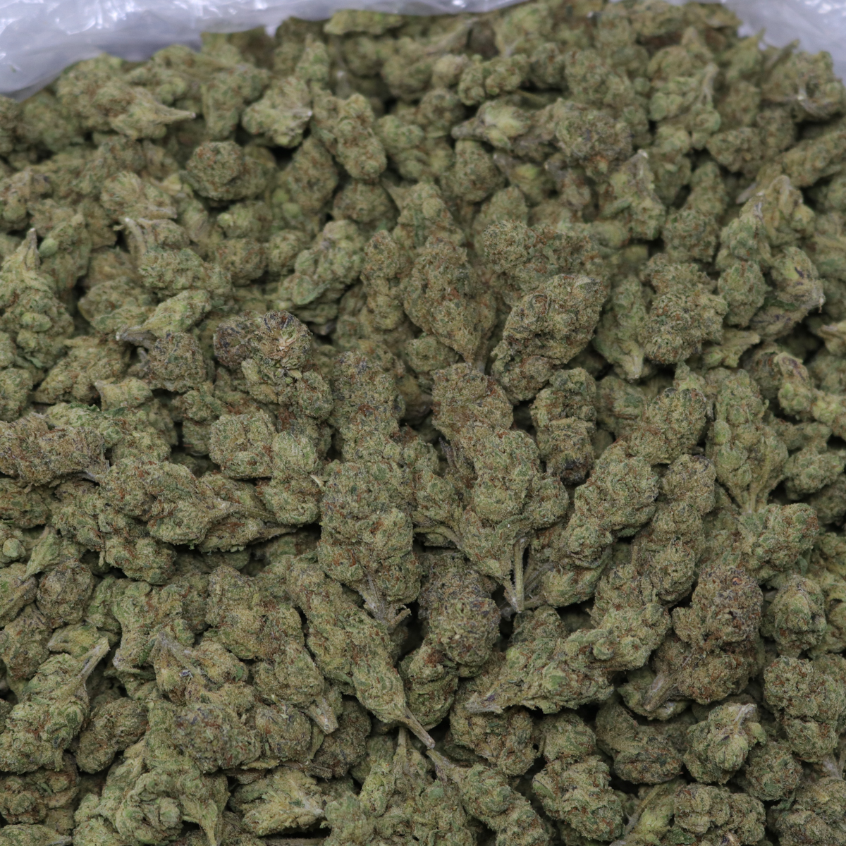 Candy Gelato - Image 2