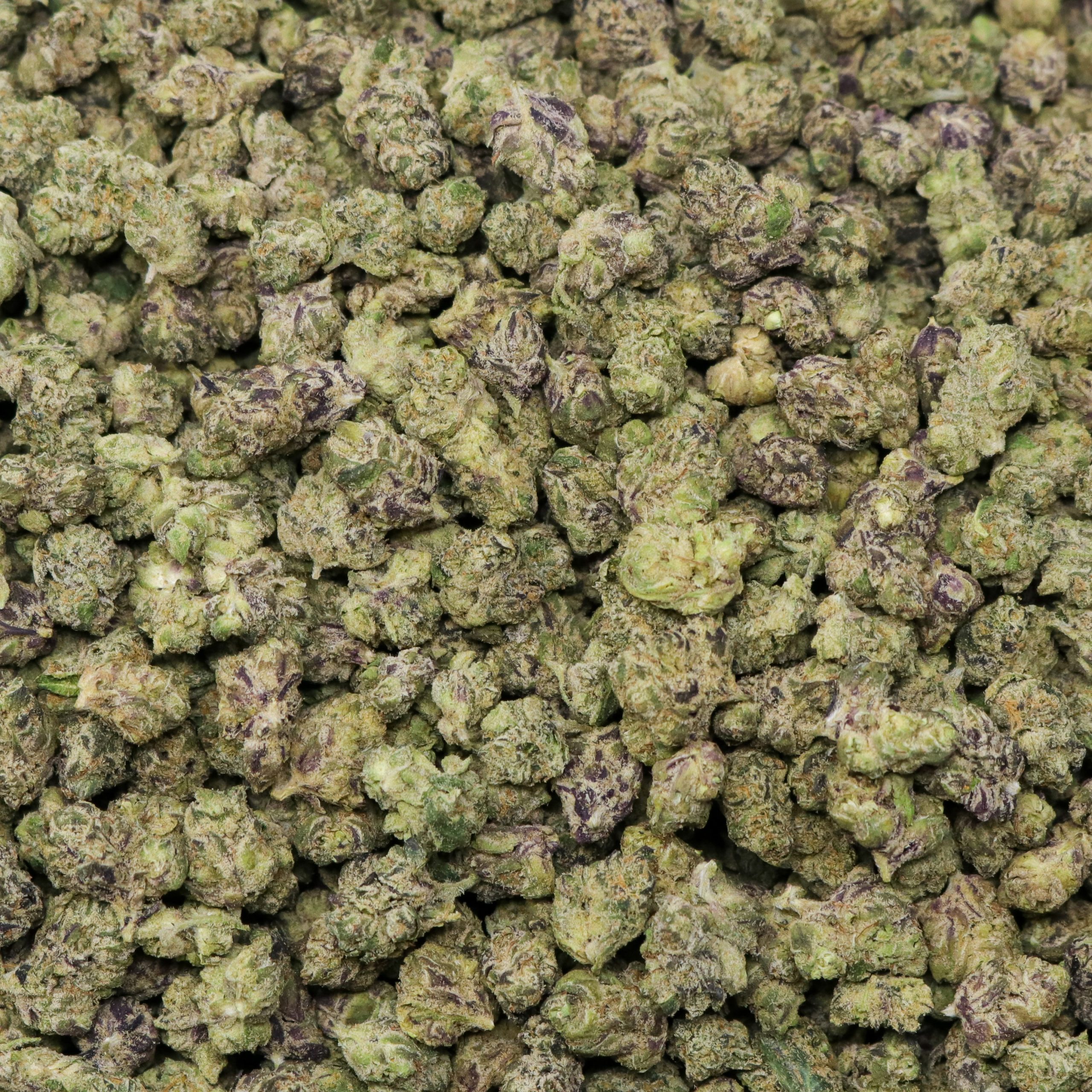 Gaslatto Smalls - Image 2