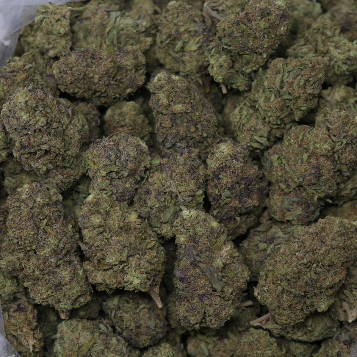 Lemon Cherry Gelato - Image 2