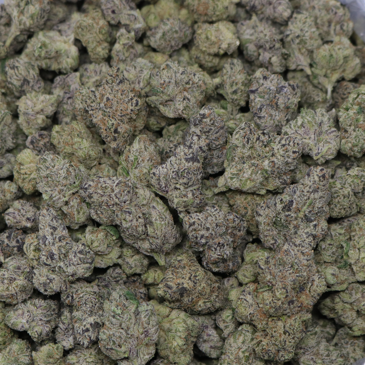 Now n Later - Image 2