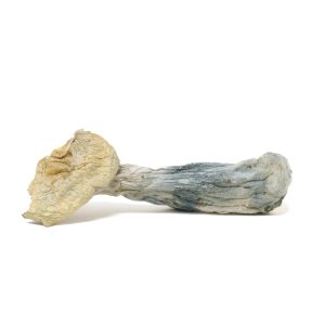 best mushroom edibles