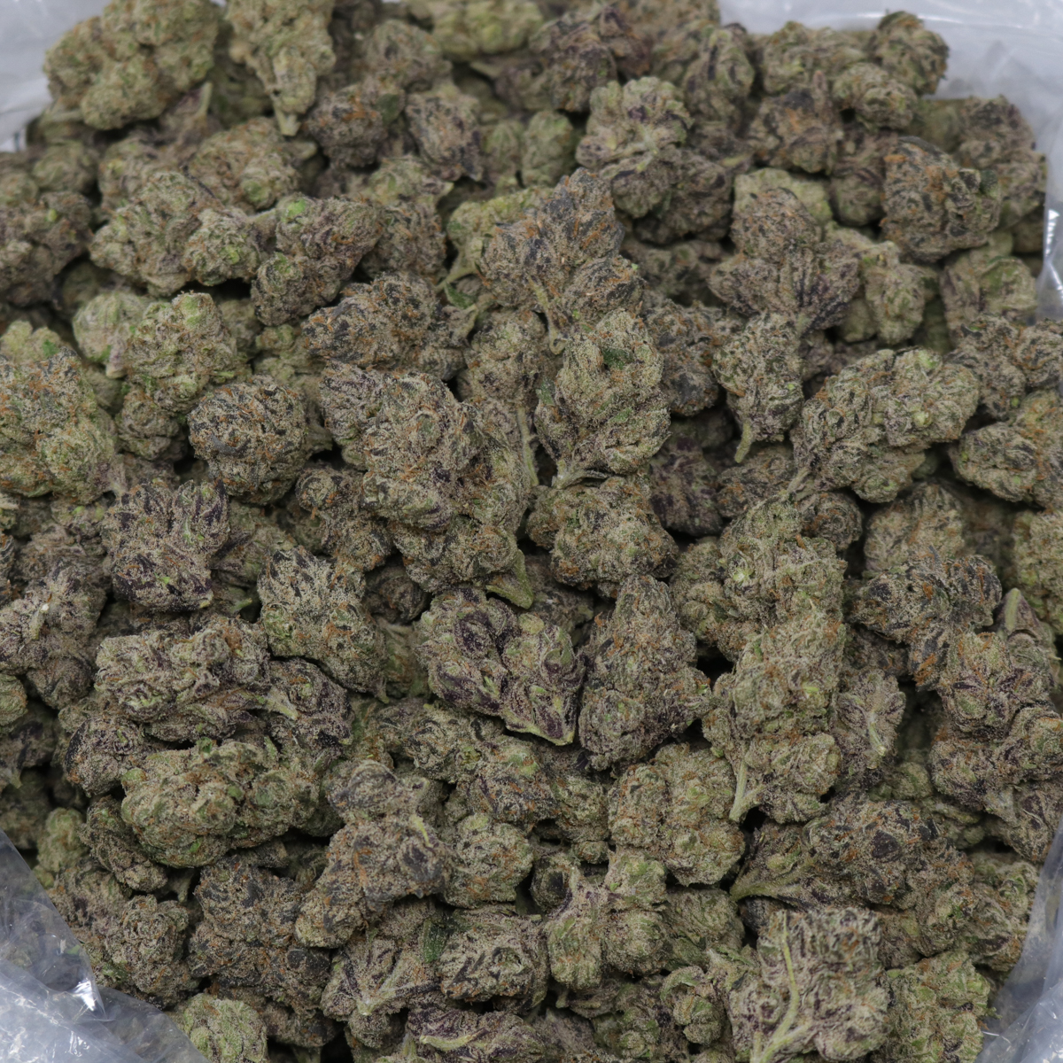 Purple Gusher - Image 2