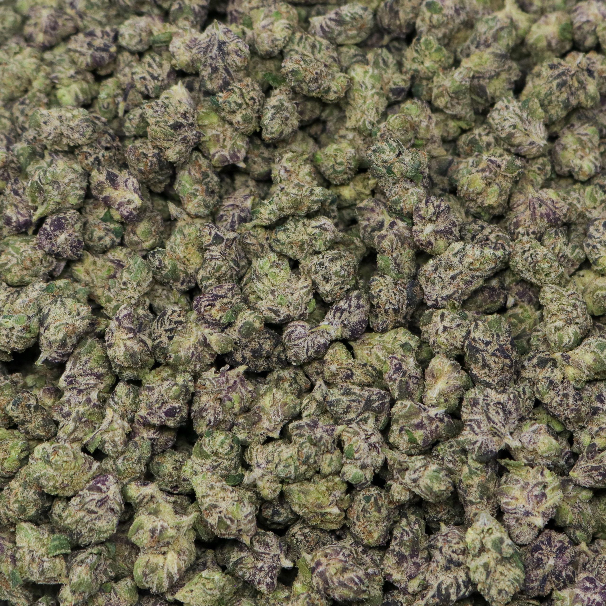 Superlatto Smalls - Image 2