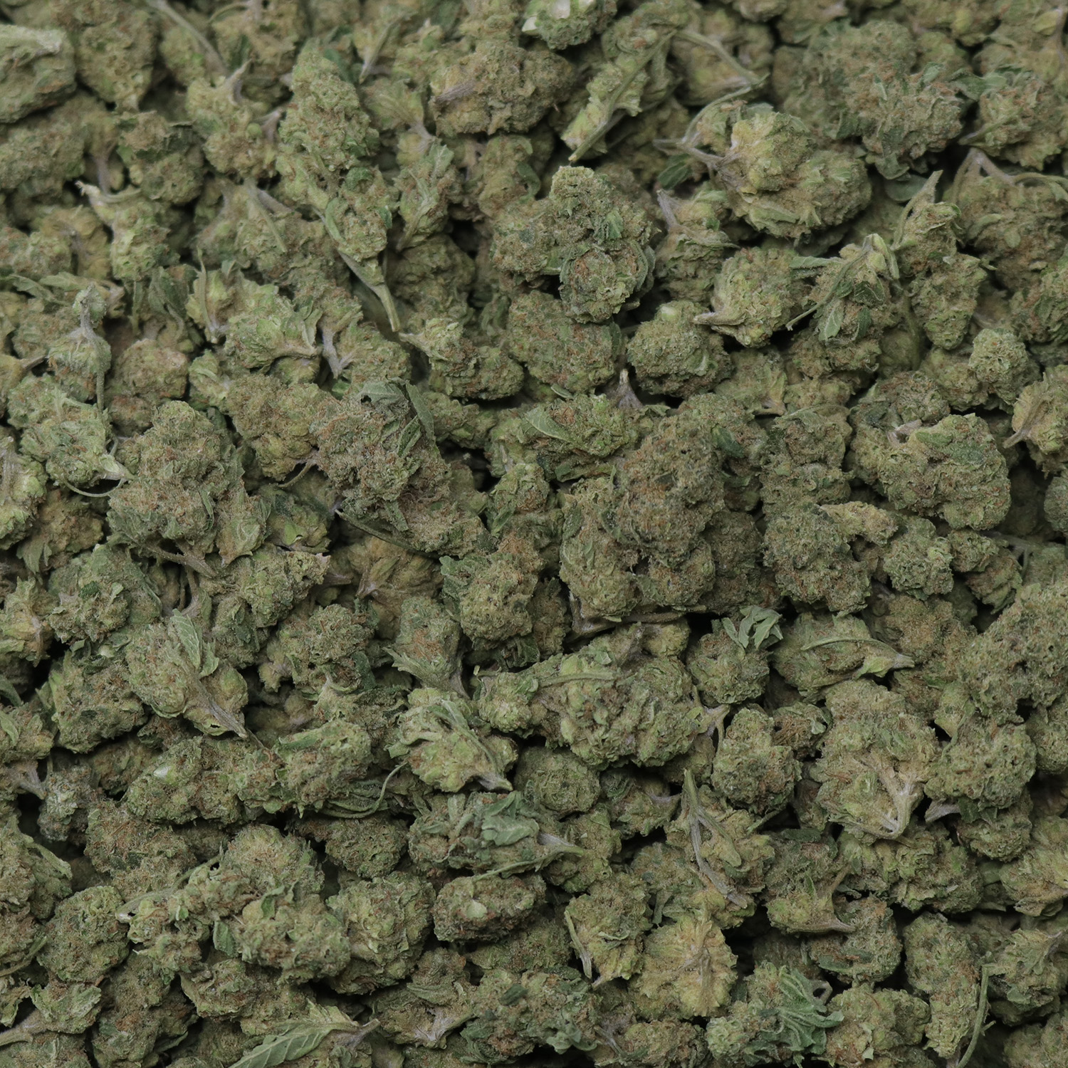 Triple G Smalls - Image 2