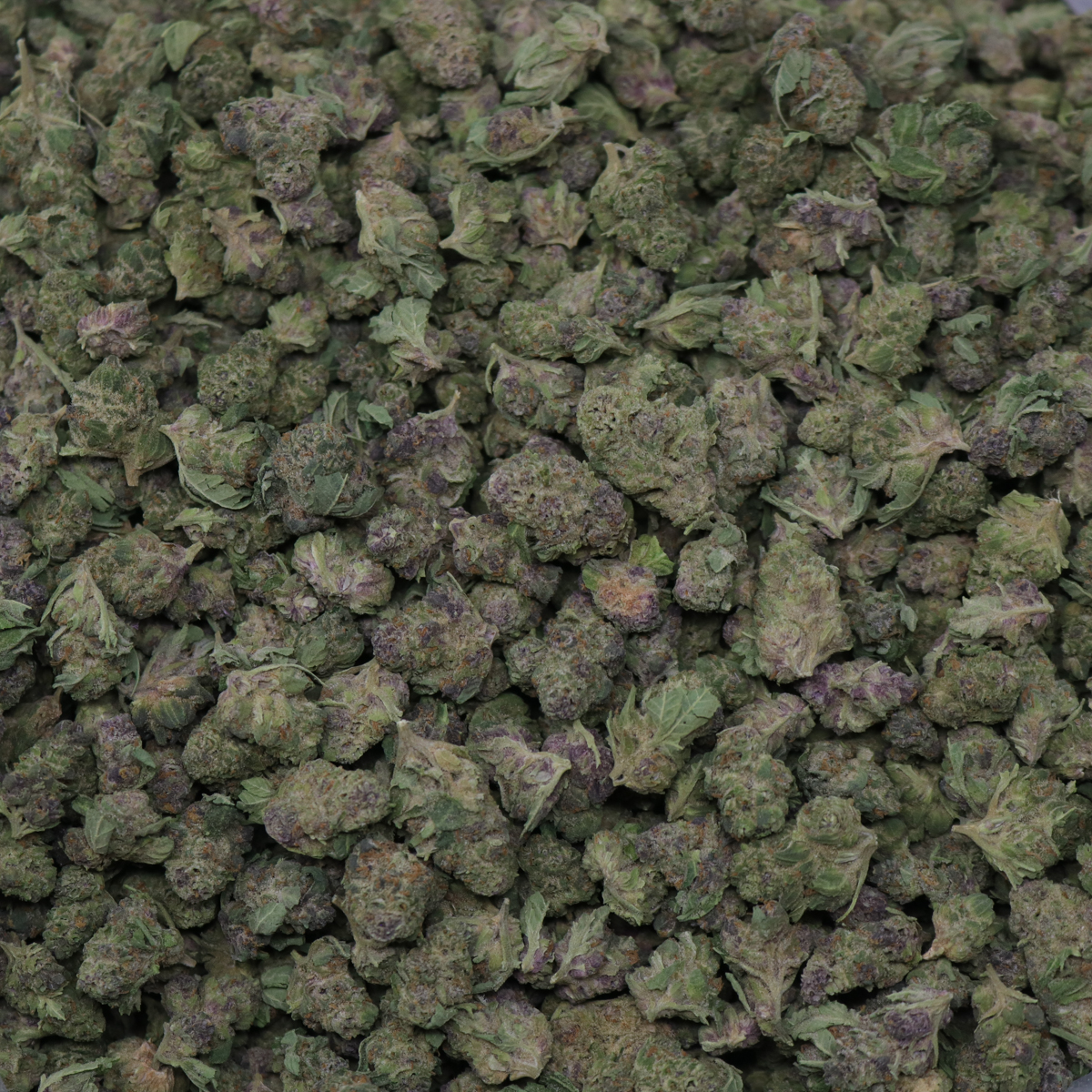 Tropicana Smalls - Image 2