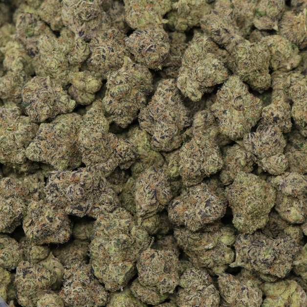 Watermelon Z - Image 2