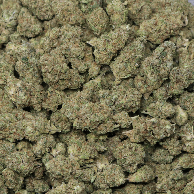 White Runtz - Image 2