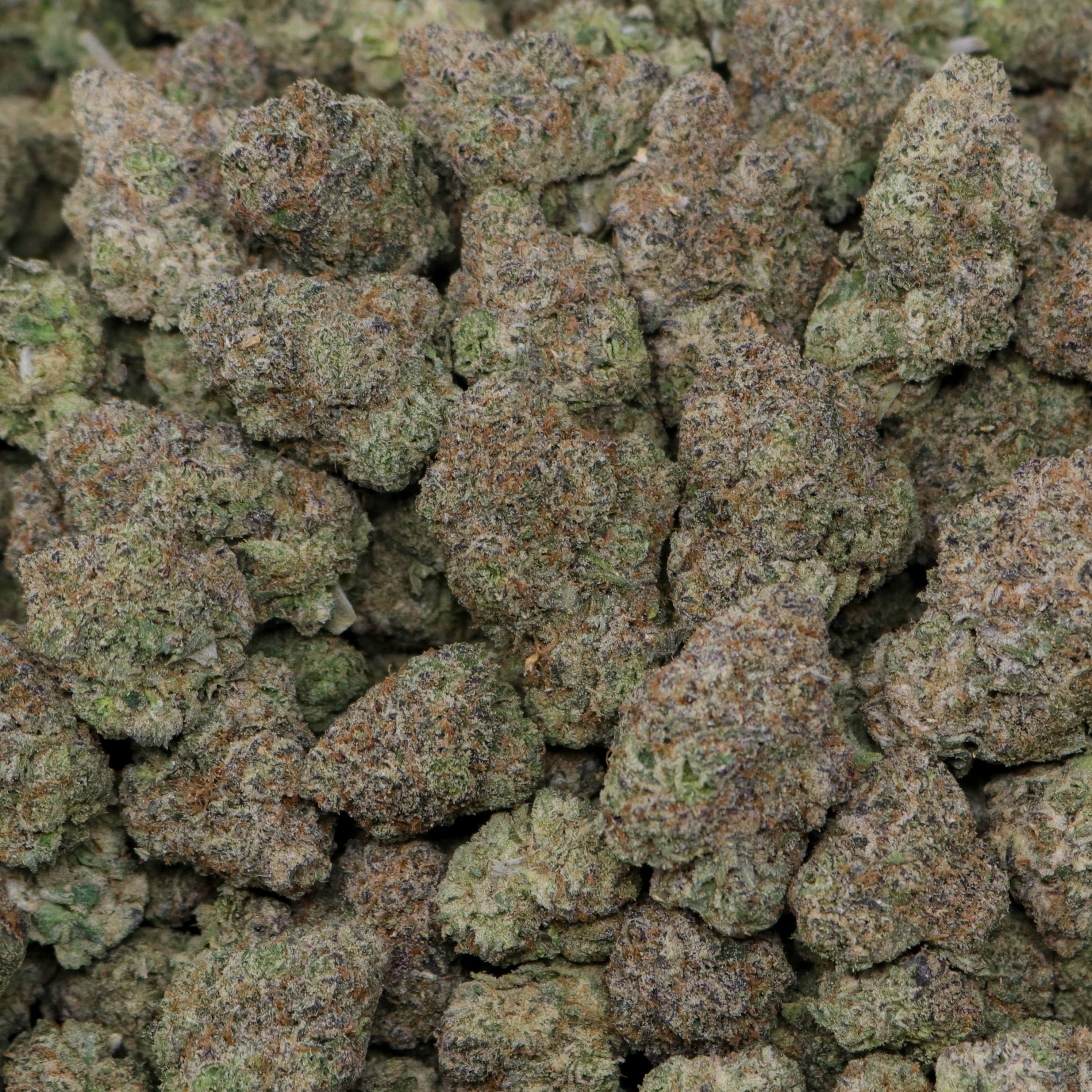 Citrus Crown Gelato - Image 2